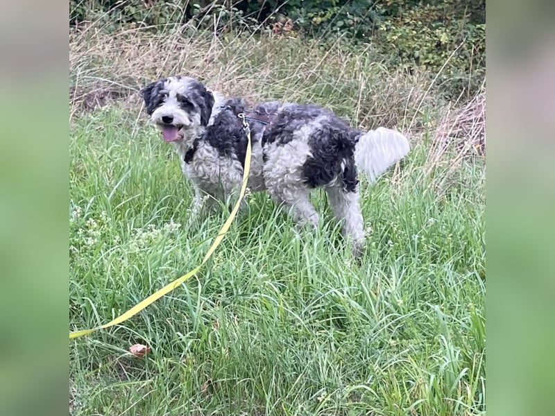 Lui - dem Elend entkommen.  Jetzt sucht Lui Menschen, die ihn "sehen"  und verstehen