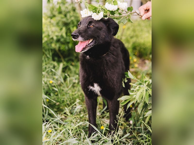 Lushka
