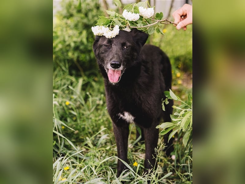 Lushka