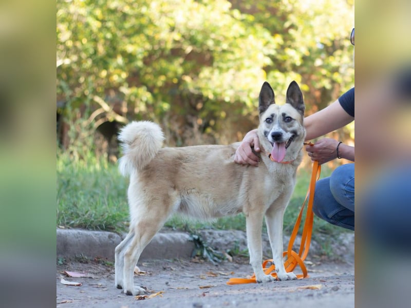 YARA Neugierige und kluge Schönheit (Ukraine)