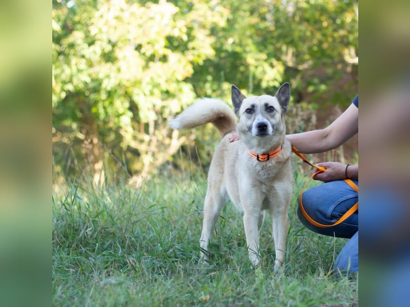 YARA Neugierige und kluge Schönheit (Ukraine)