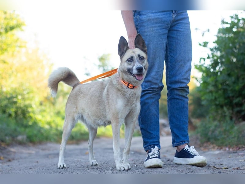 YARA Neugierige und kluge Schönheit (Ukraine)