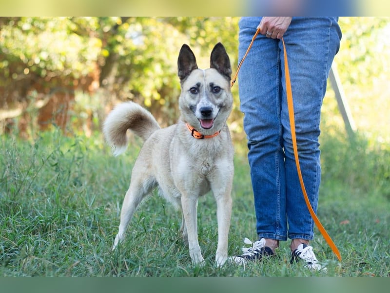 YARA Neugierige und kluge Schönheit (Ukraine)