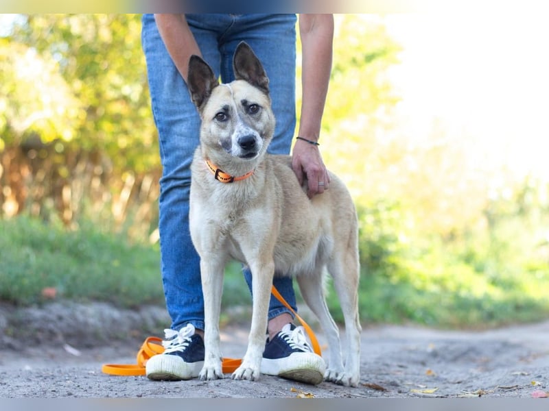 YARA Neugierige und kluge Schönheit (Ukraine)