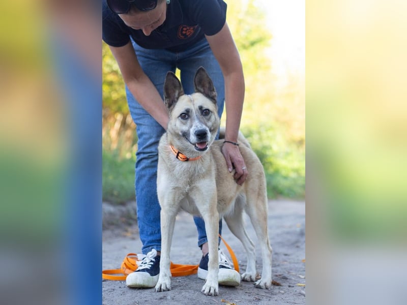 YARA Neugierige und kluge Schönheit (Ukraine)