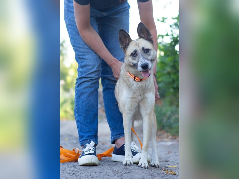 YARA Neugierige und kluge Schönheit (Ukraine)