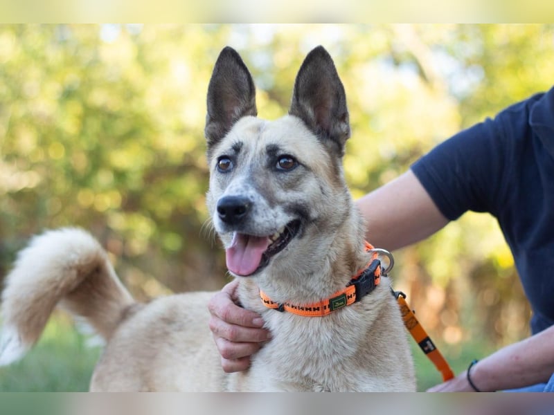 YARA Neugierige und kluge Schönheit (Ukraine)