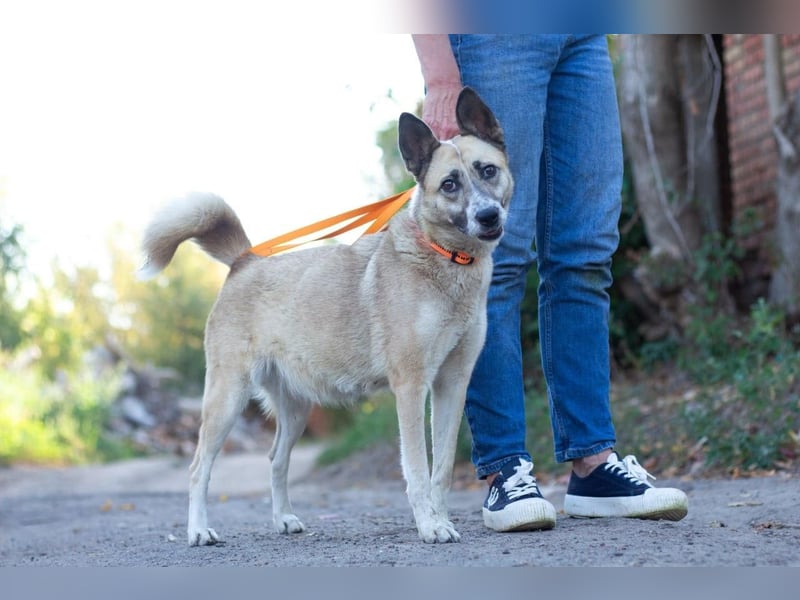 YARA Neugierige und kluge Schönheit (Ukraine)