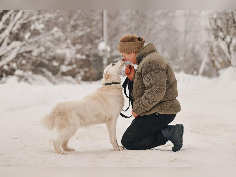 Selbstbewusste Kiwa sucht ihre Menschen