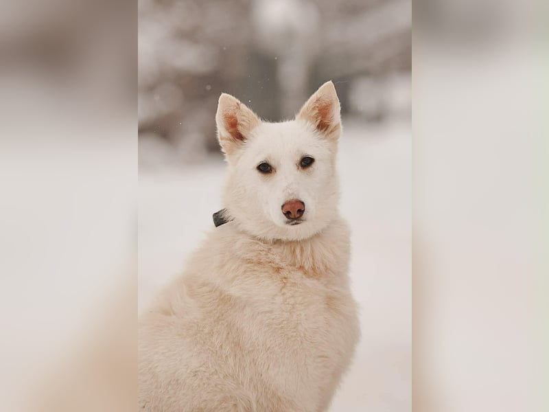 Selbstbewusste Kiwa sucht ihre Menschen