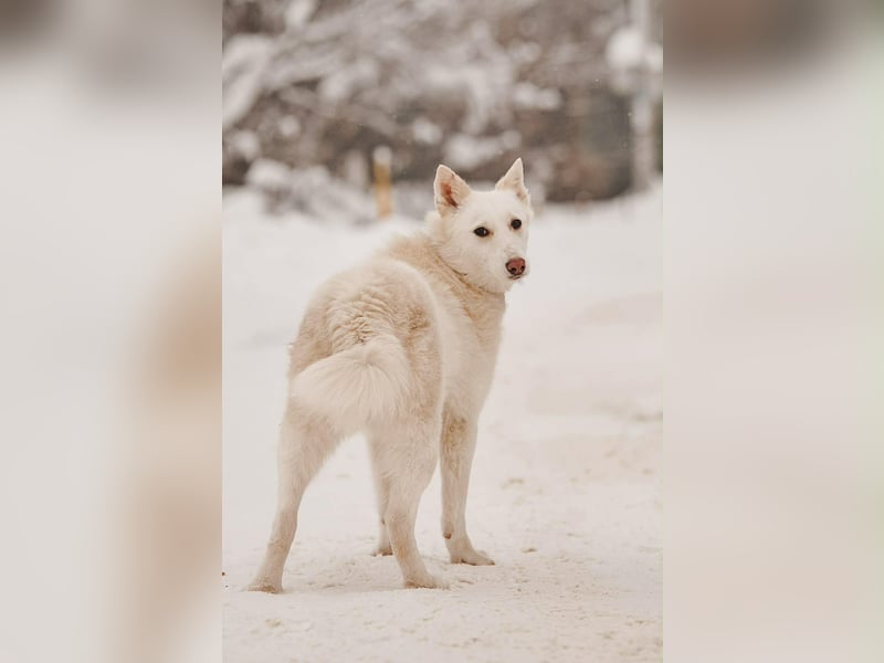 Selbstbewusste Kiwa sucht  ihre Familie