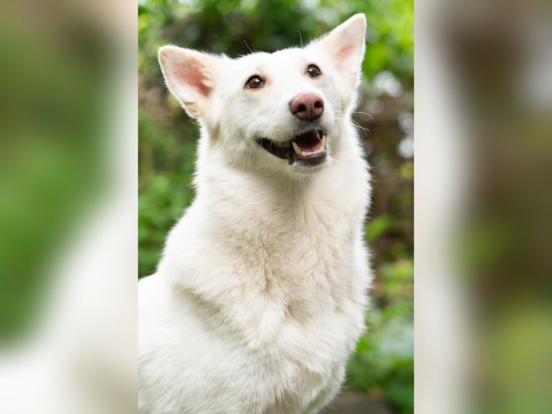 Fröhliche Kiwa sucht ihre Menschen