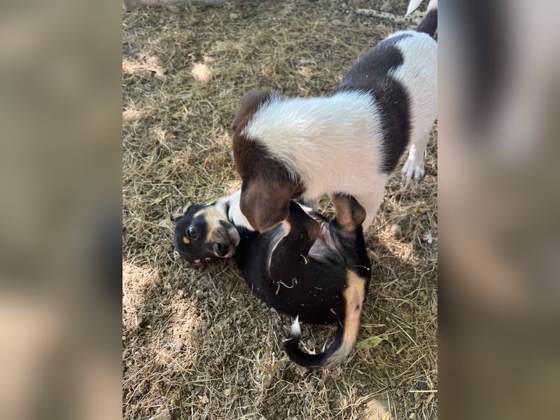 JIMMY – klein, charmant und voller Entdeckerdrang