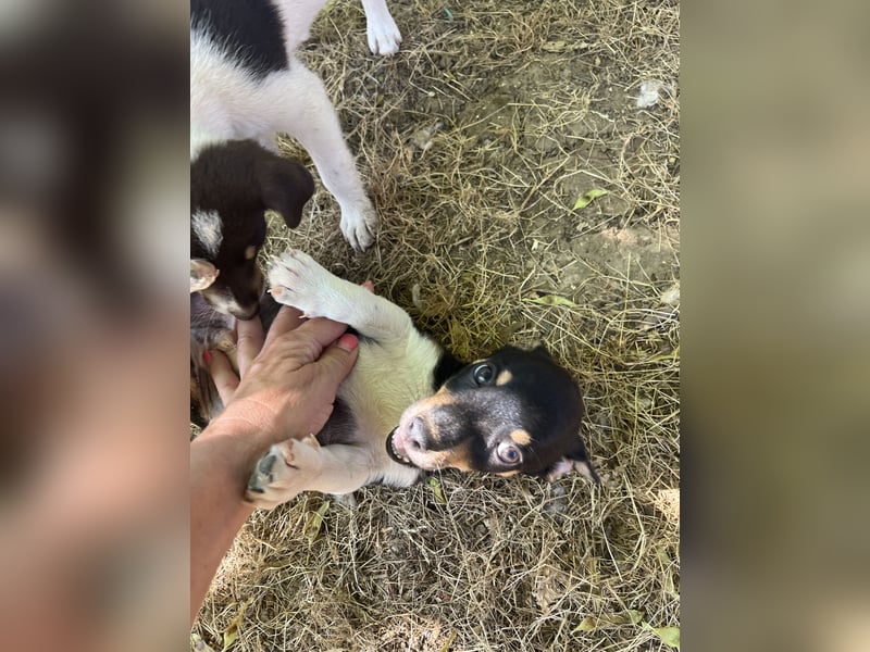 JIMMY – klein, charmant und voller Entdeckerdrang