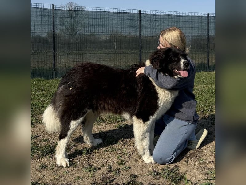 Kura eine wundervolle Pracht