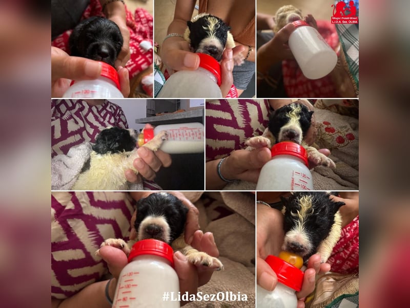 Caramela: ...mit dir kann das Leben beginnen Caramela: ...mit dir kann das Leben beginnen