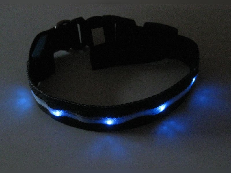 LED Hundehalsband blau, verstellbar 35 - 40 cm, 3 Blinkmodi