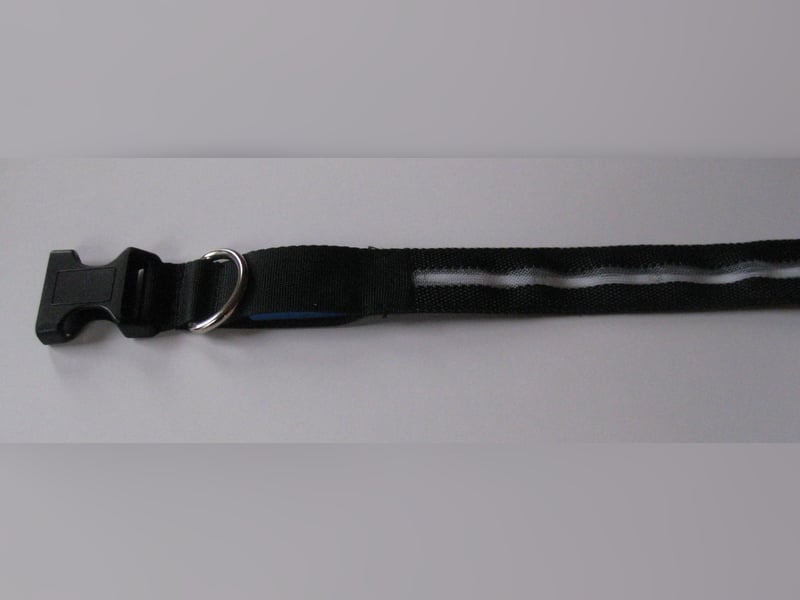 LED Hundehalsband blau, verstellbar 35 - 40 cm, 3 Blinkmodi