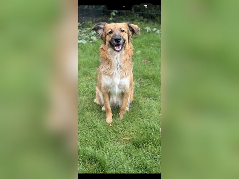 Amy sucht ein neues Zuhause