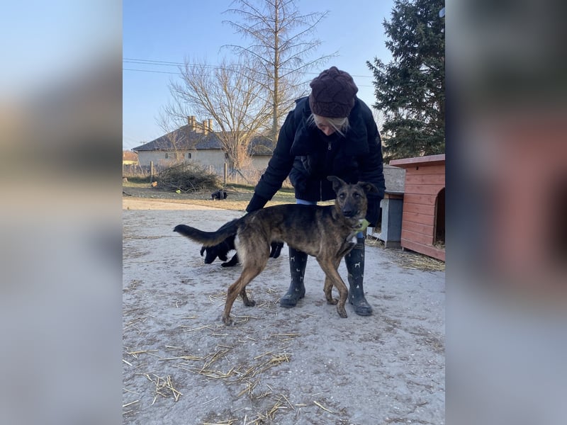 Gitta - eine ganz besondere Schönheit