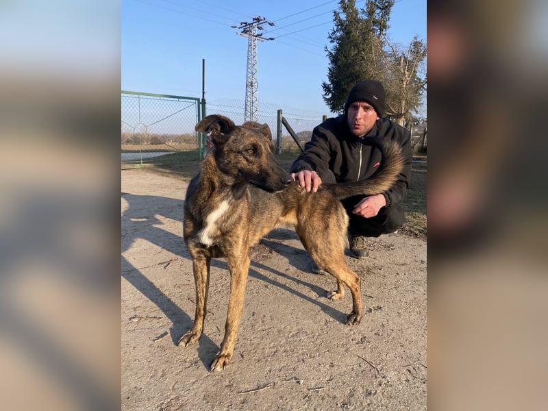 Gitta - eine ganz besondere Schönheit