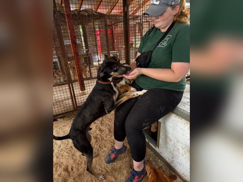 Barber sucht Rasseliebhaber