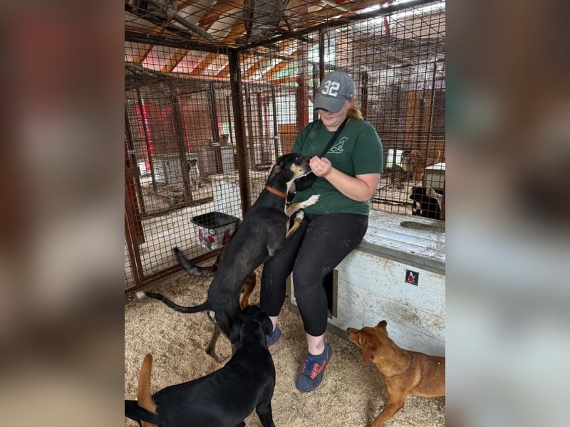 Barber sucht Rasseliebhaber