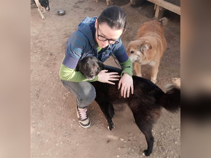 Die liebevolle Negruta sucht ein Zuhause oder eine Pflegestelle!