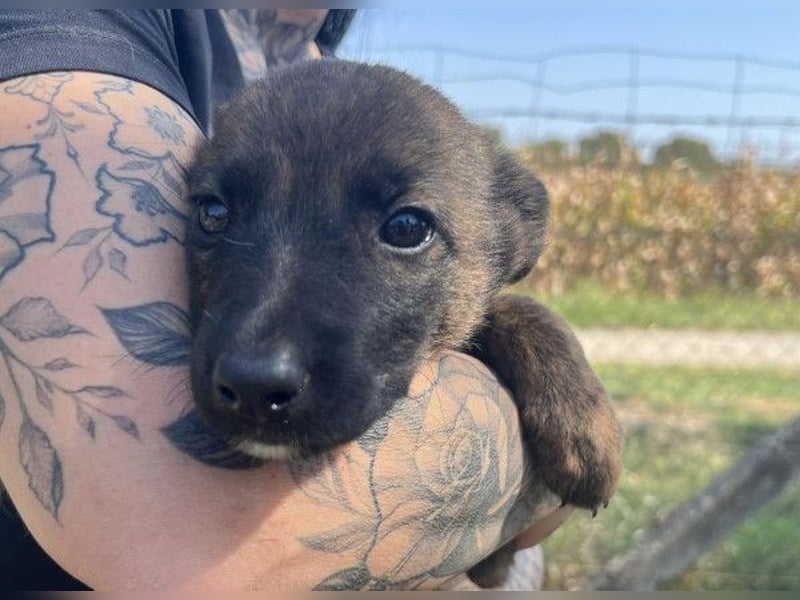 Darf Gitta bei dir ankommen?