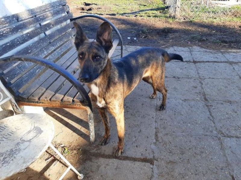 Darf Gitta bei dir ankommen?