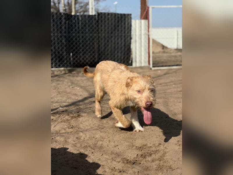 Arif möchte geliebt werden