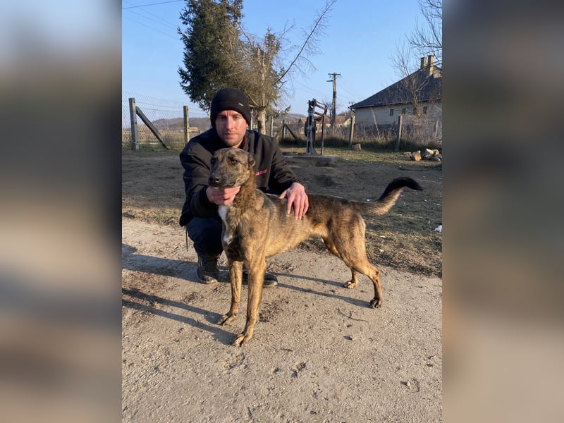 Gitta - eine ganz besondere Schönheit