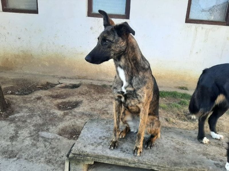 Darf Gitta bei dir ankommen?