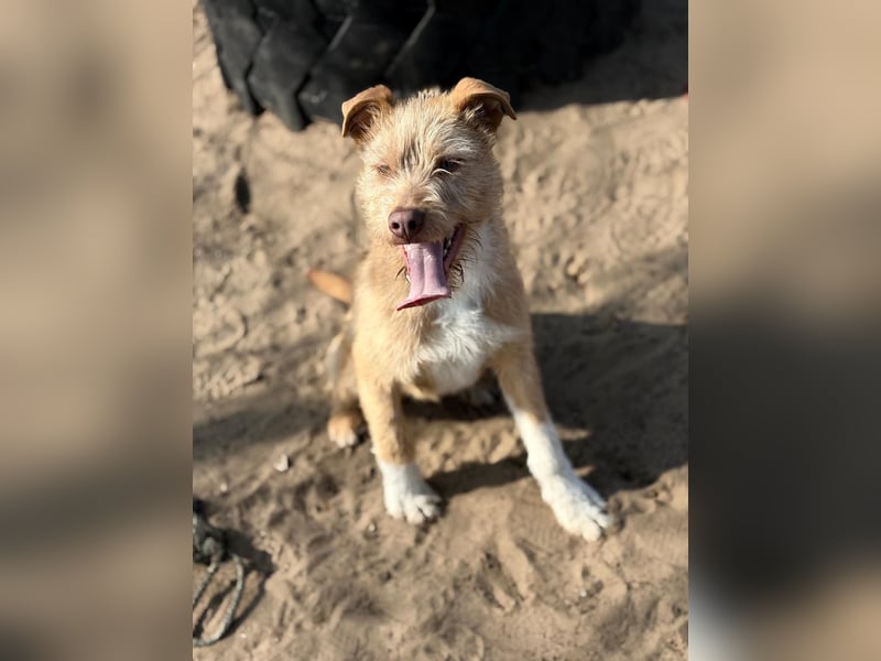 Arif möchte geliebt werden