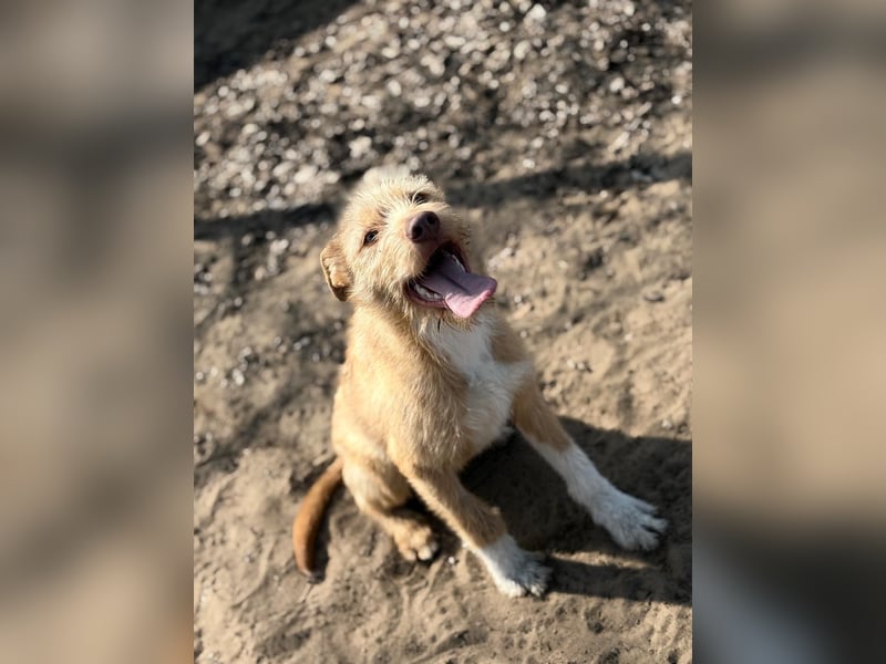 Arif möchte geliebt werden