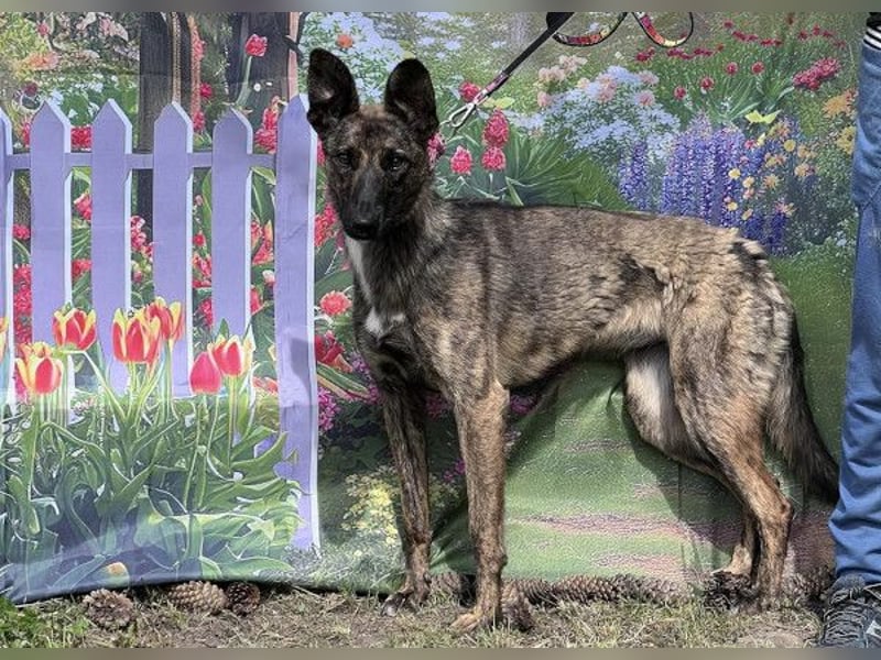 Darf Gitta bei dir ankommen?