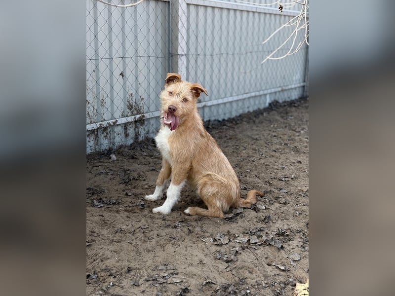 Arif möchte geliebt werden