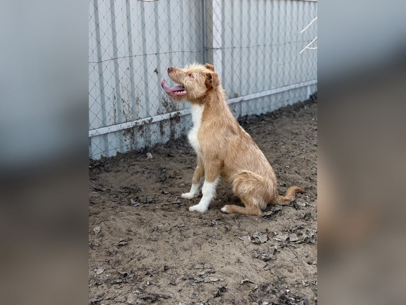 Arif möchte geliebt werden