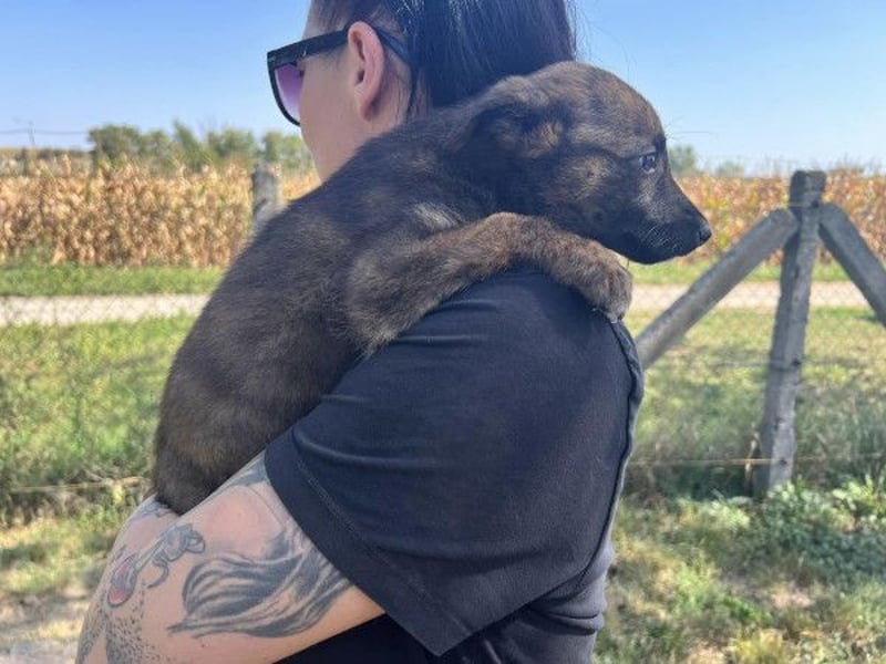 Darf Gitta bei dir ankommen?