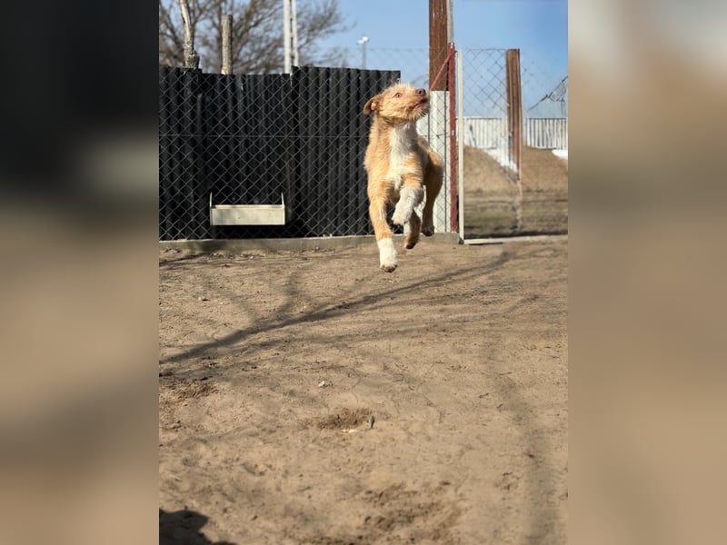 Arif möchte geliebt werden