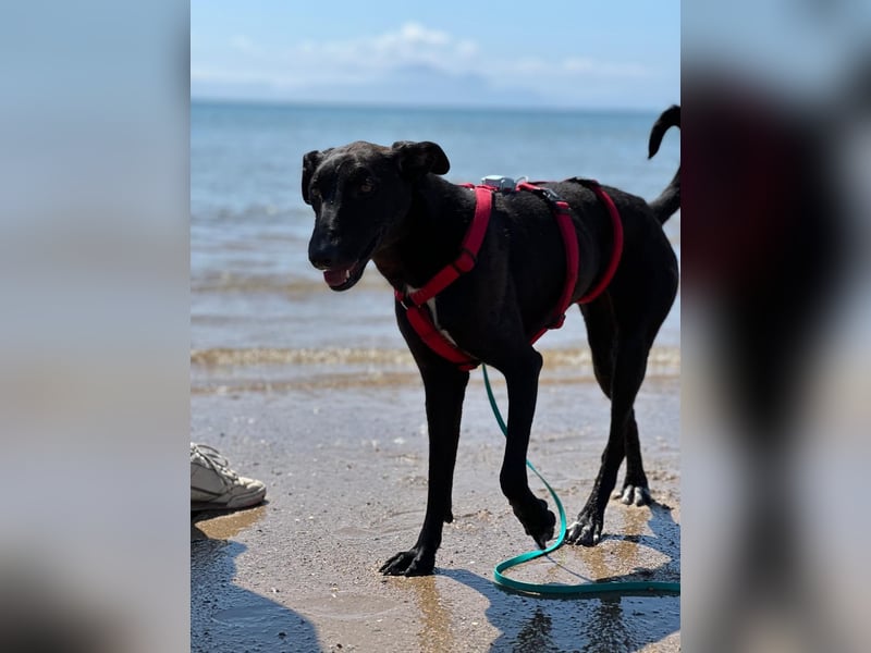 Csöppke-BE – Sensible Dame sucht Halt und Herz