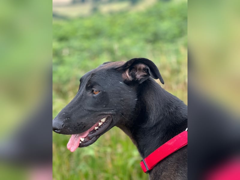 Csöppke-BE – Sensible Dame sucht Halt und Herz