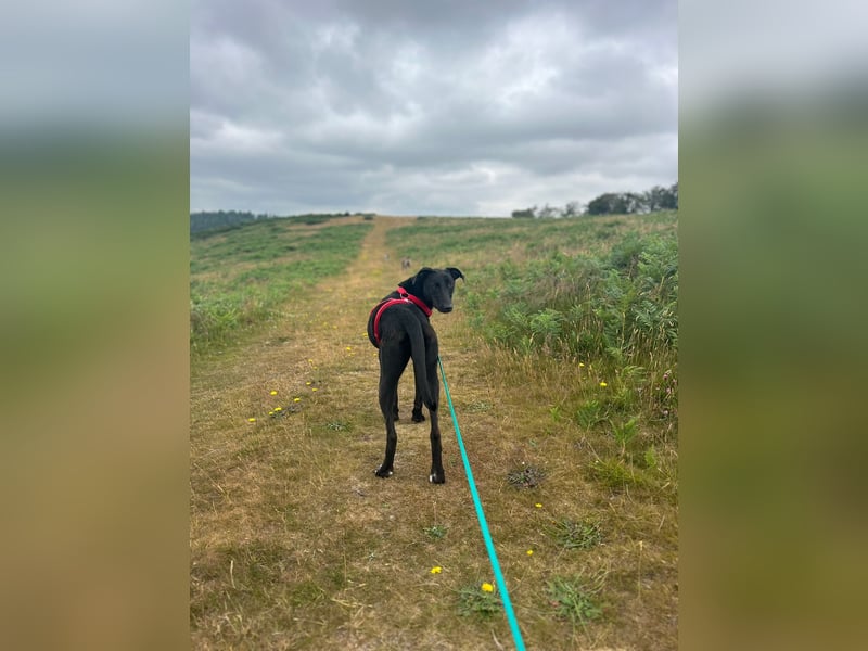 Csöppke-BE – Sensible Dame sucht Halt und Herz