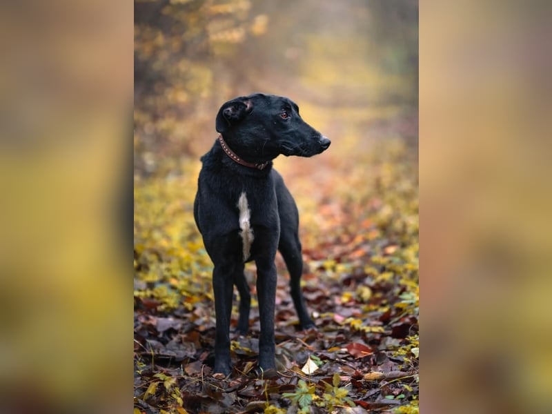 Csöppke-BE – Sensible Dame sucht Halt und Herz