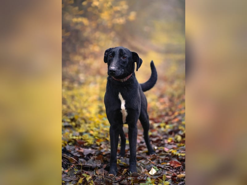 Csöppke-BE – Sensible Dame sucht Halt und Herz