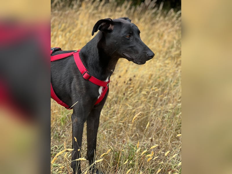 Csöppke-BE – Sensible Dame sucht Halt und Herz