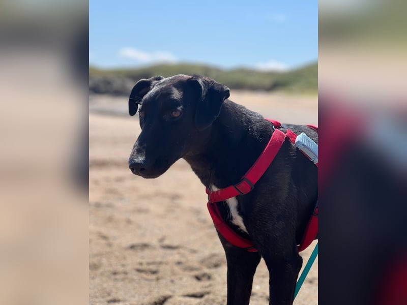 Csöppke-BE – Sensible Dame sucht Halt und Herz