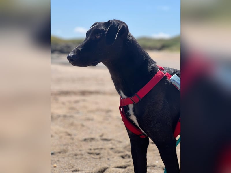 Csöppke-BE – Sensible Dame sucht Halt und Herz