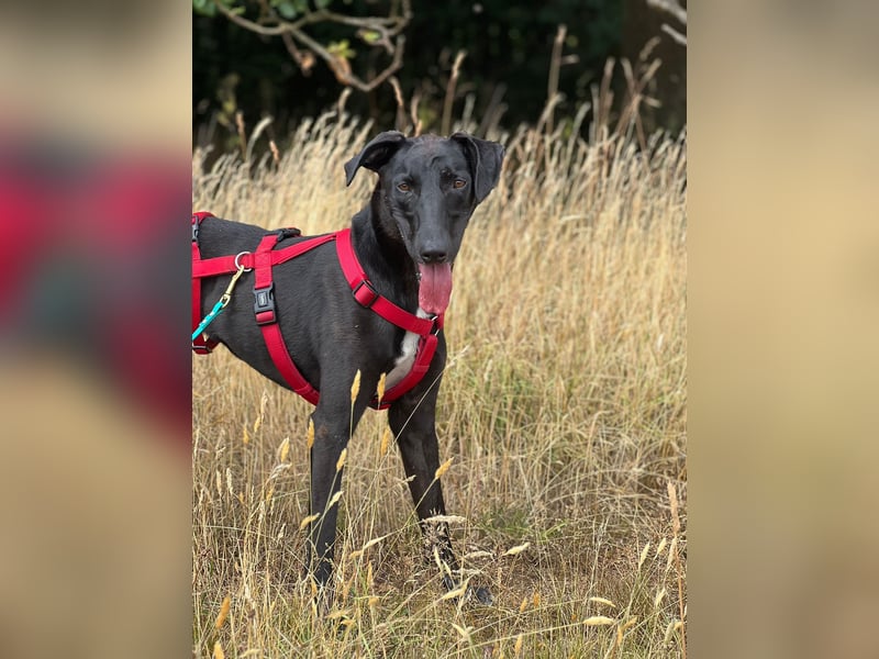 Csöppke-BE – Sensible Dame sucht Halt und Herz