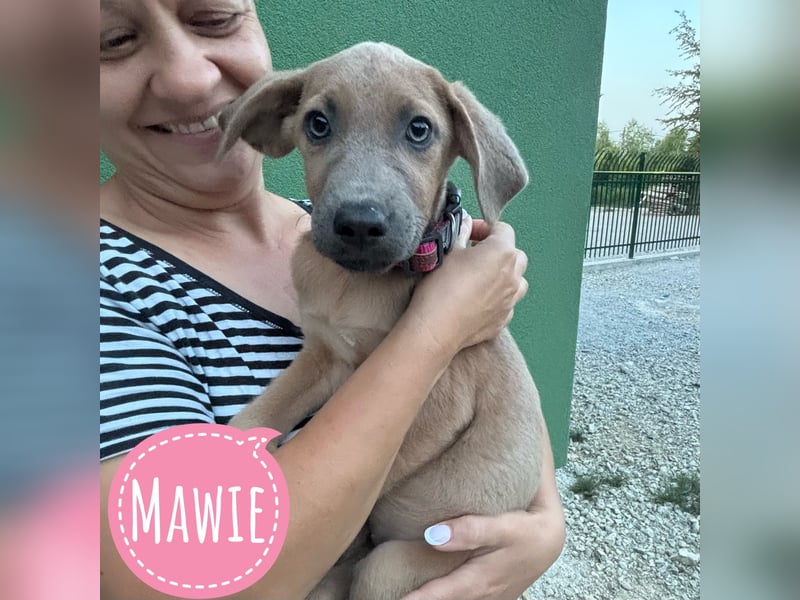 Mawie eine kleine Prinzessin